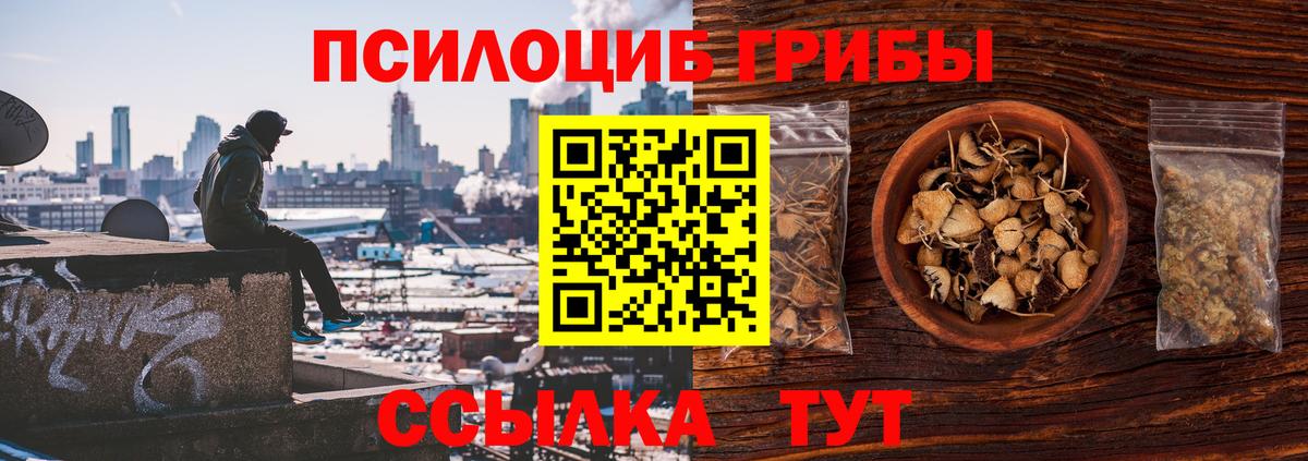 Псилоцибиновые грибы MAGIC MUSHROOMS  Вход с VPN  Галлюциногенные грибы Psilocybine cubensis  где купить наркоту  Ялуторовск 